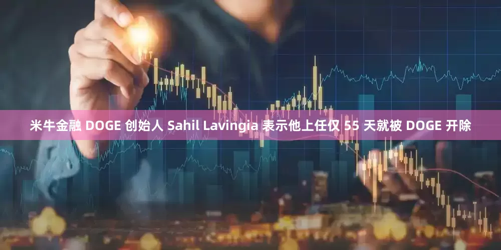 米牛金融 DOGE 创始人 Sahil Lavingia 表示他上任仅 55 天就被 DOGE 开除