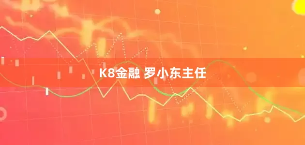 K8金融 罗小东主任