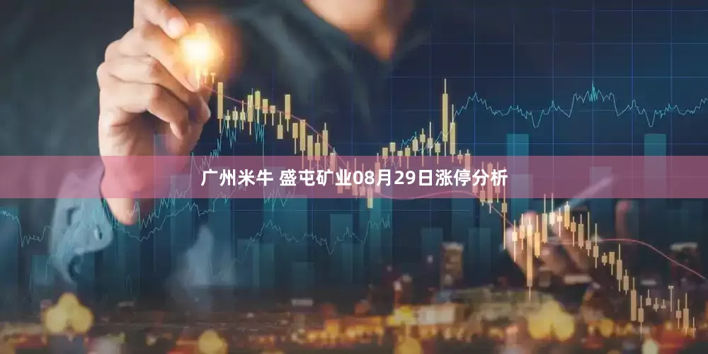 广州米牛 盛屯矿业08月29日涨停分析